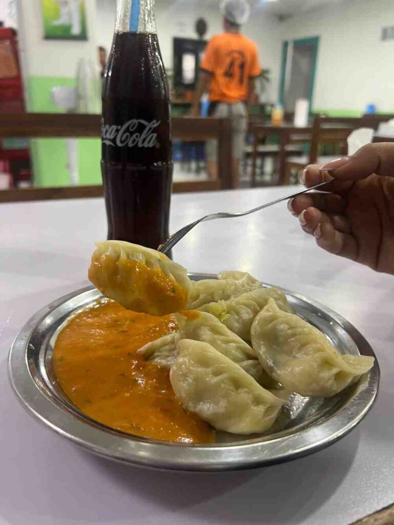 Special Darjeeling Veg Momo