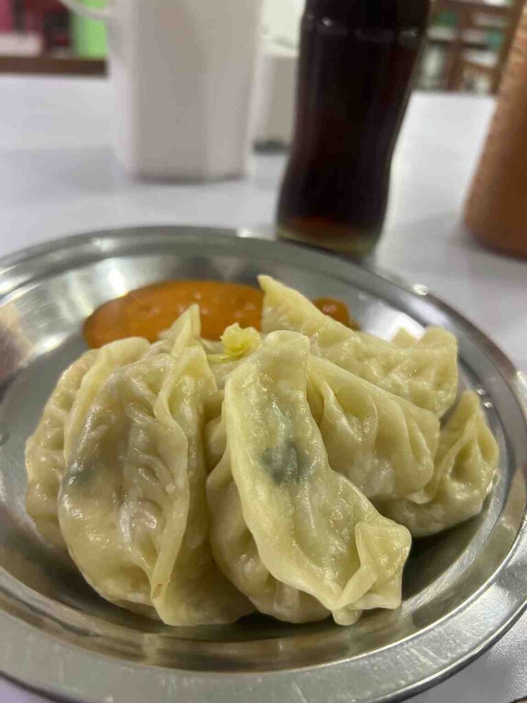 Special Darjeeling Veg Momo